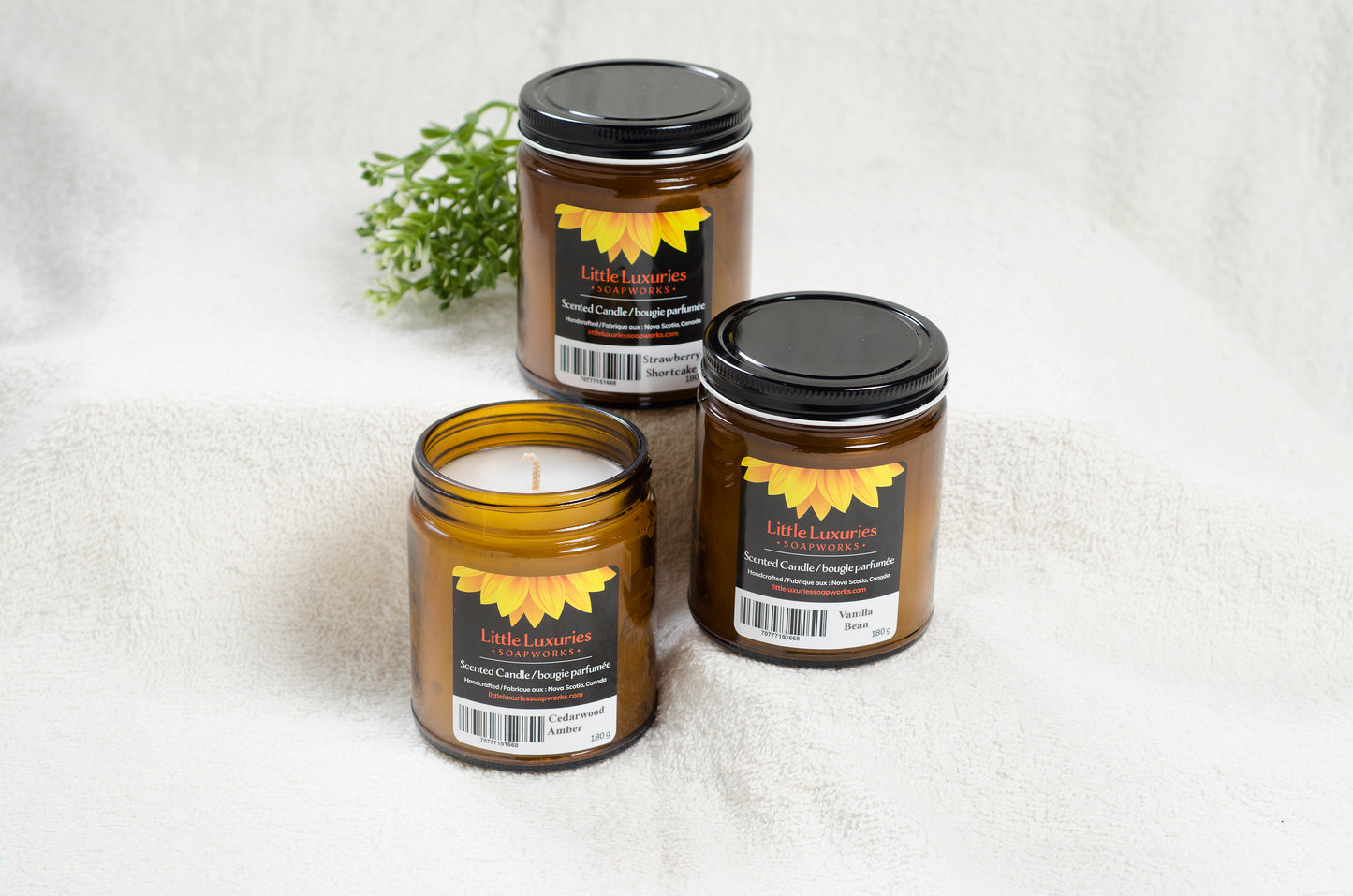 Candles - case of 12