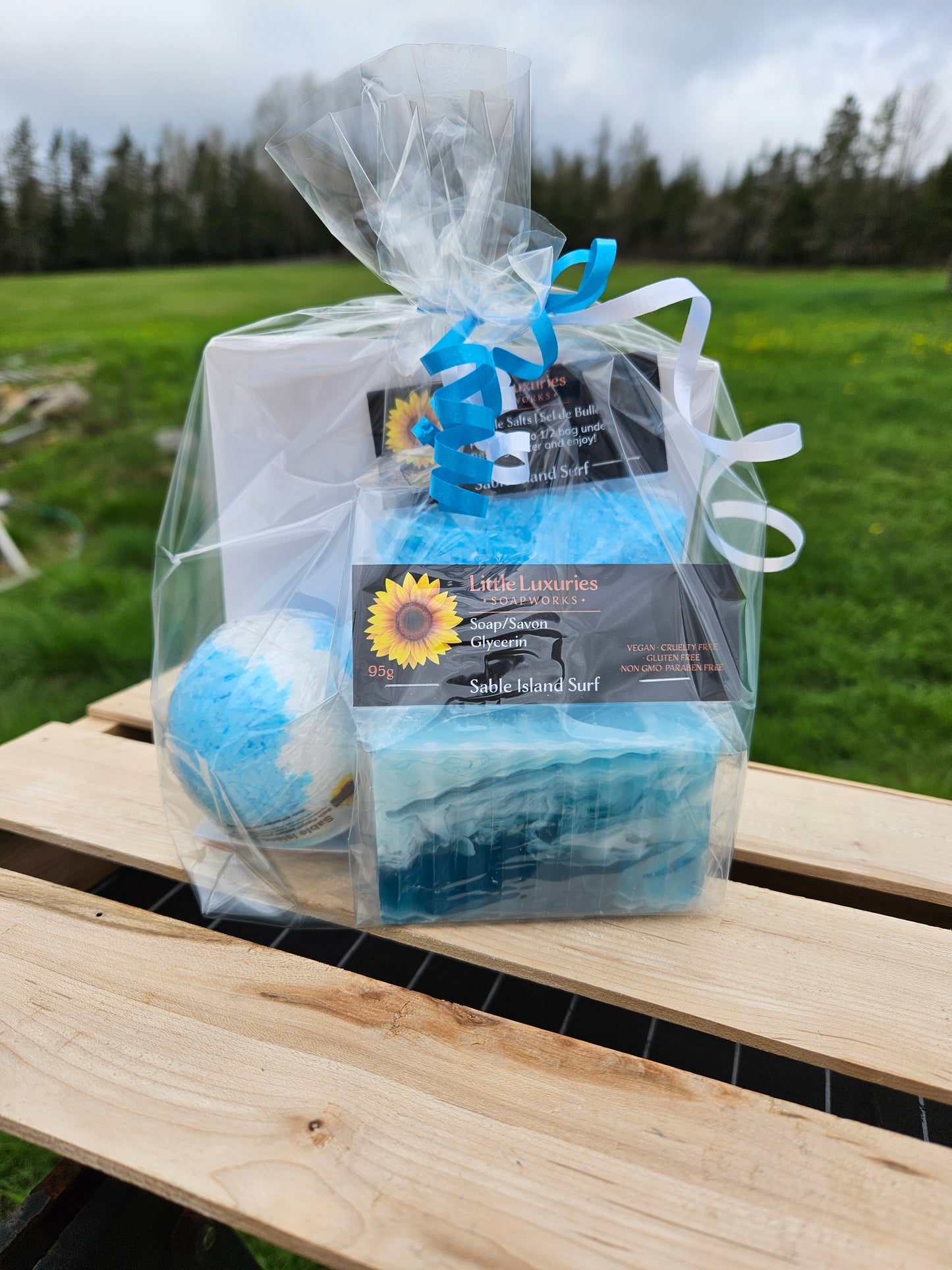 Gift Bags - Case lots