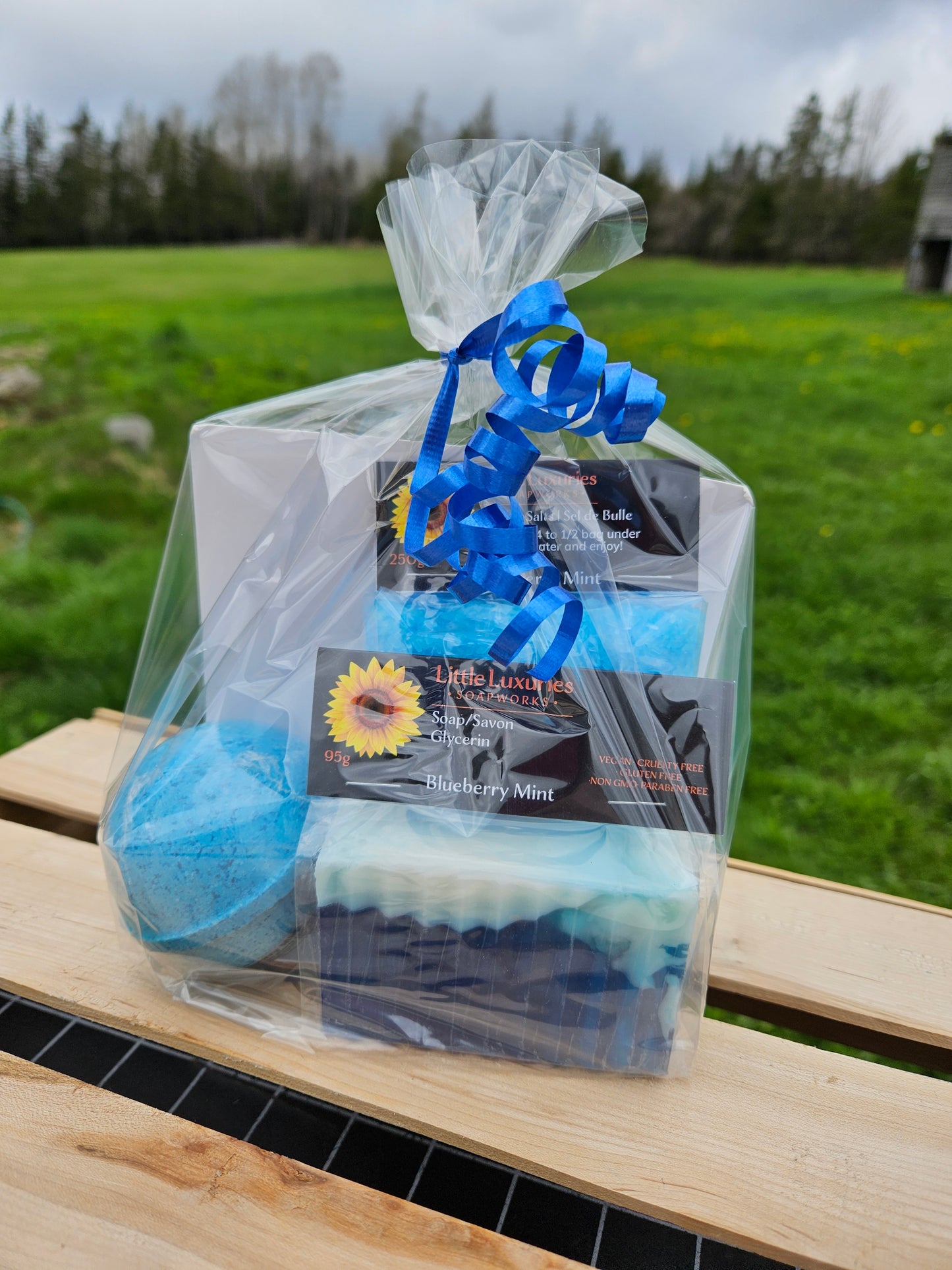 Gift Bags - Case lots